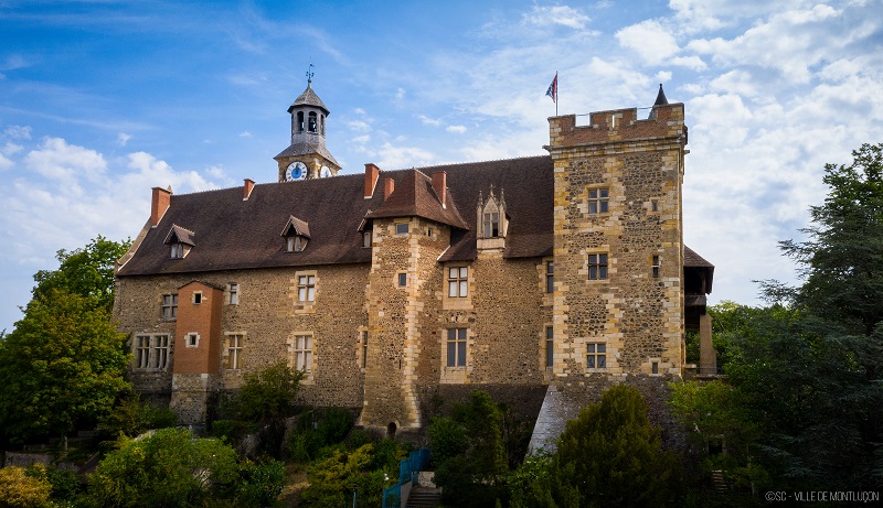 Chateau Montluçon photo